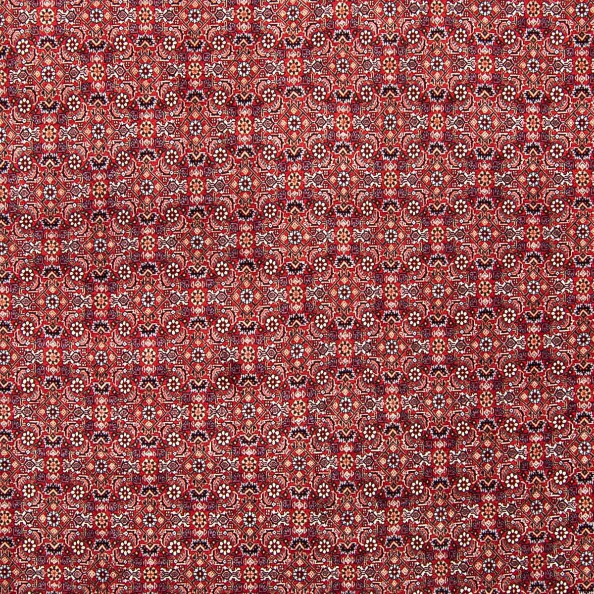Perzisch tapijt - Bijar - 347 x 248 cm - rood