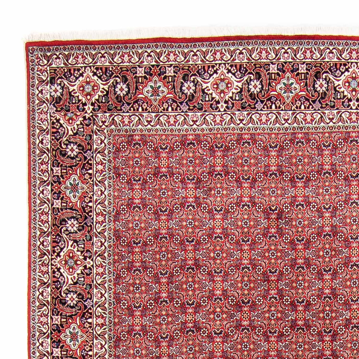 Perzisch tapijt - Bijar - 347 x 248 cm - rood