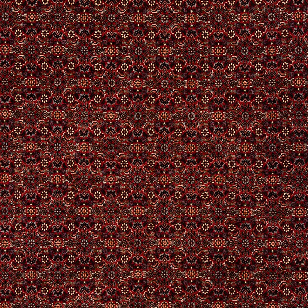 Perzisch tapijt - Bijar - 256 x 202 cm - donkerrood