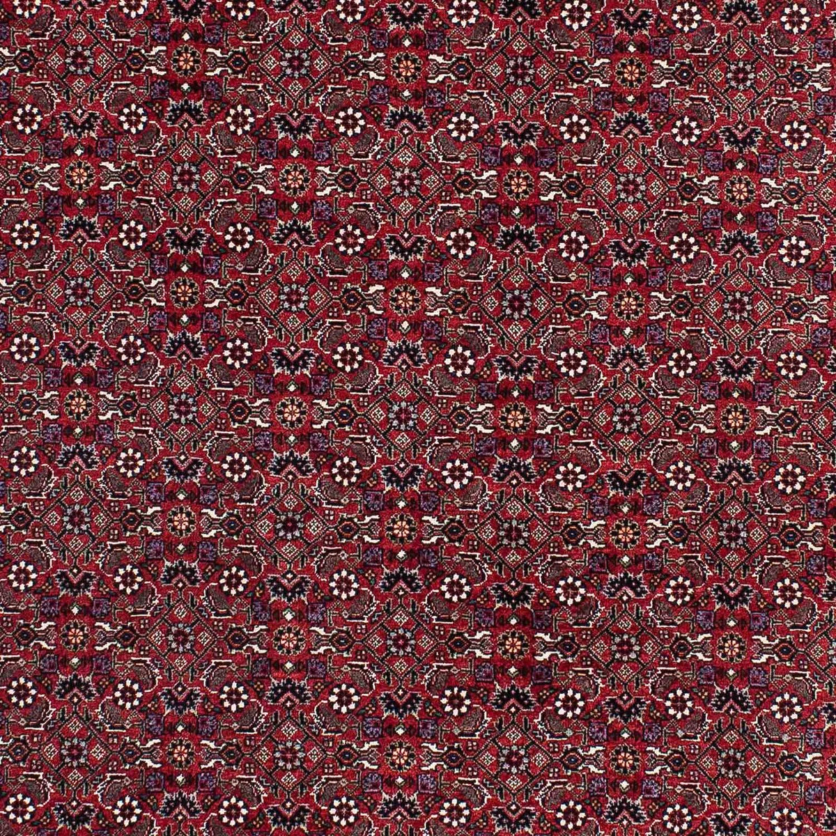 Perzisch tapijt - Bijar - 221 x 143 cm - rood