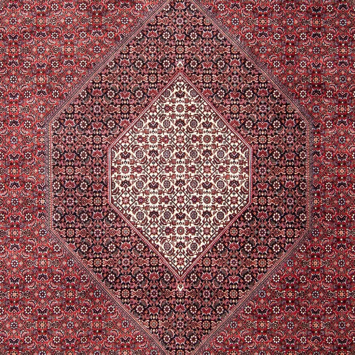 Perzisch tapijt - Bijar - 302 x 253 cm - rood