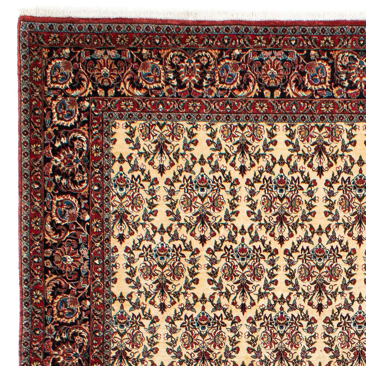 Perzisch tapijt - Bijar - 300 x 208 cm - beige