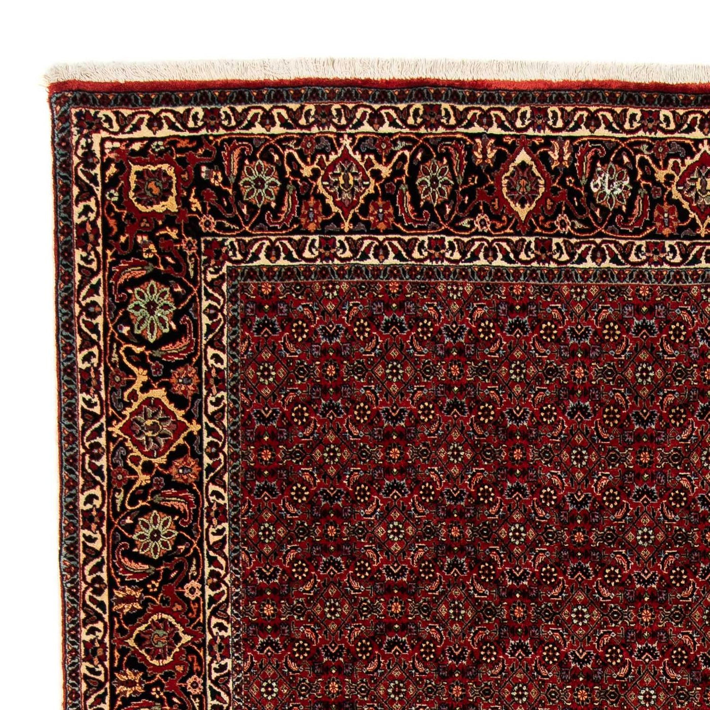 Bidjar Tapijt 246x200cm - Perzisch tapijt