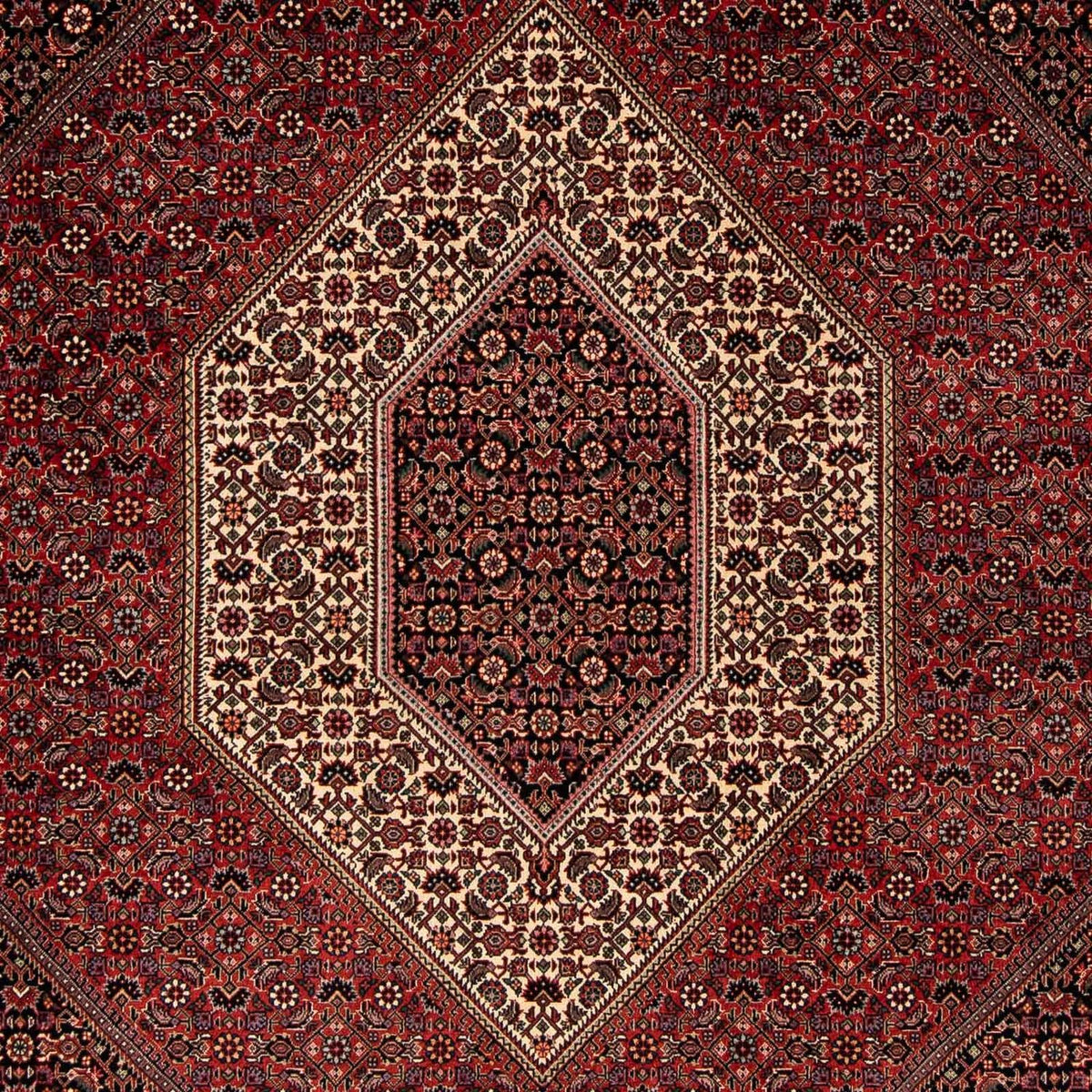 Perzisch tapijt - Bijar - 251 x 202 cm - donkerrood