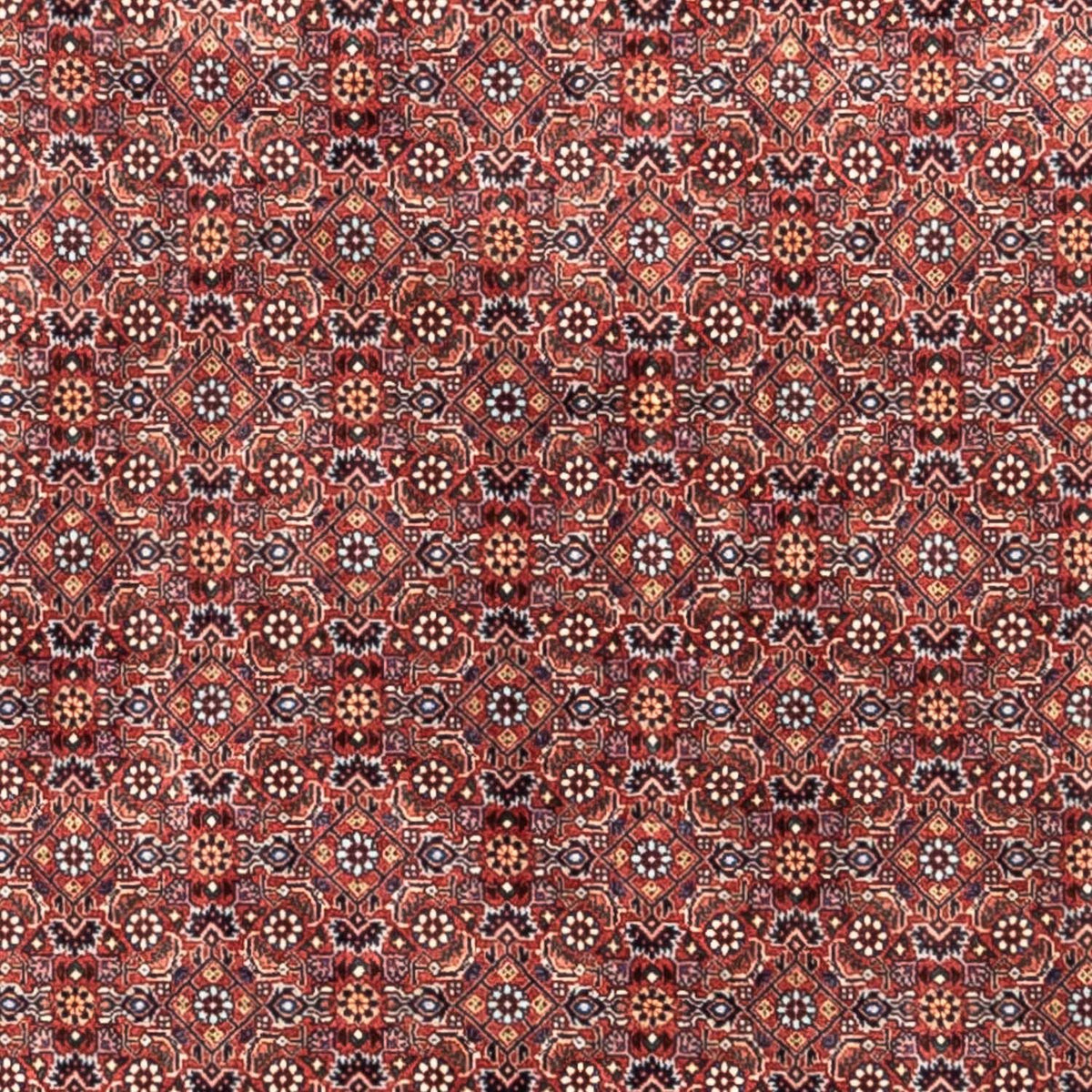 Perzisch tapijt - Bijar - Koninklijk - 306 x 204 cm - rood