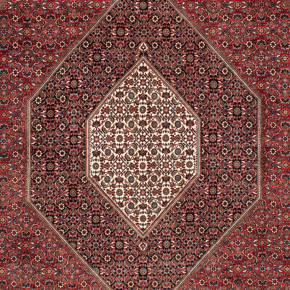 Perzisch tapijt - Bijar - 309 x 208 cm - donkerrood