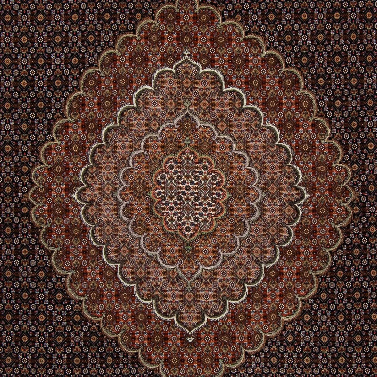 Perzisch tapijt - Tabriz - 353 x 255 cm - bruin