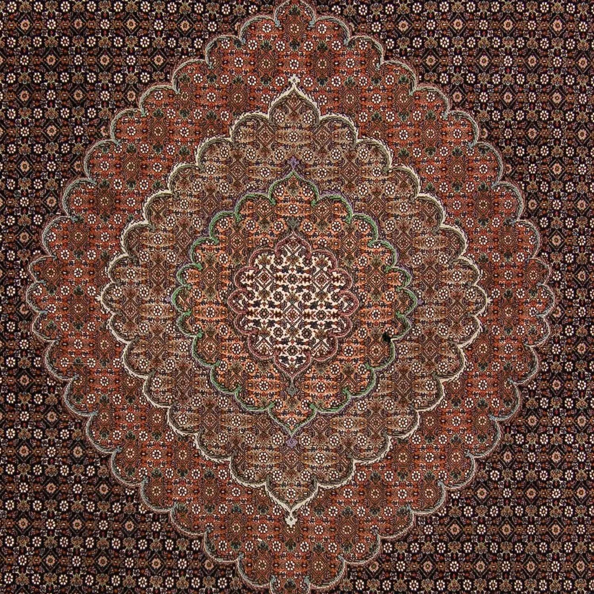 Perzisch tapijt - Tabriz - 370 x 256 cm - bruin