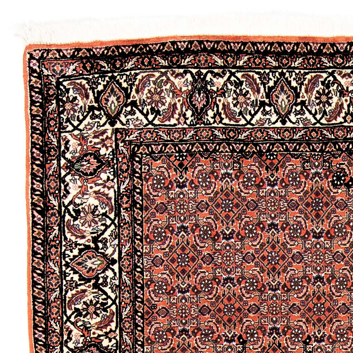 Bidjar Tapijt 250x173cm - Perzisch tapijt