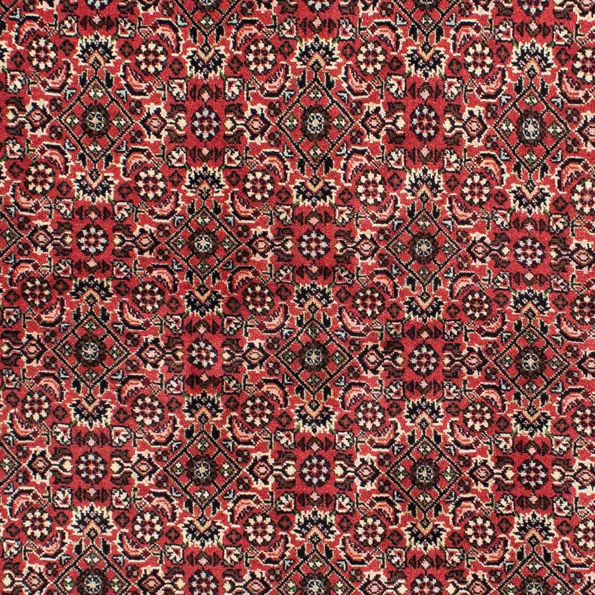 Perzisch tapijt - Bijar - 208 x 139 cm - rood