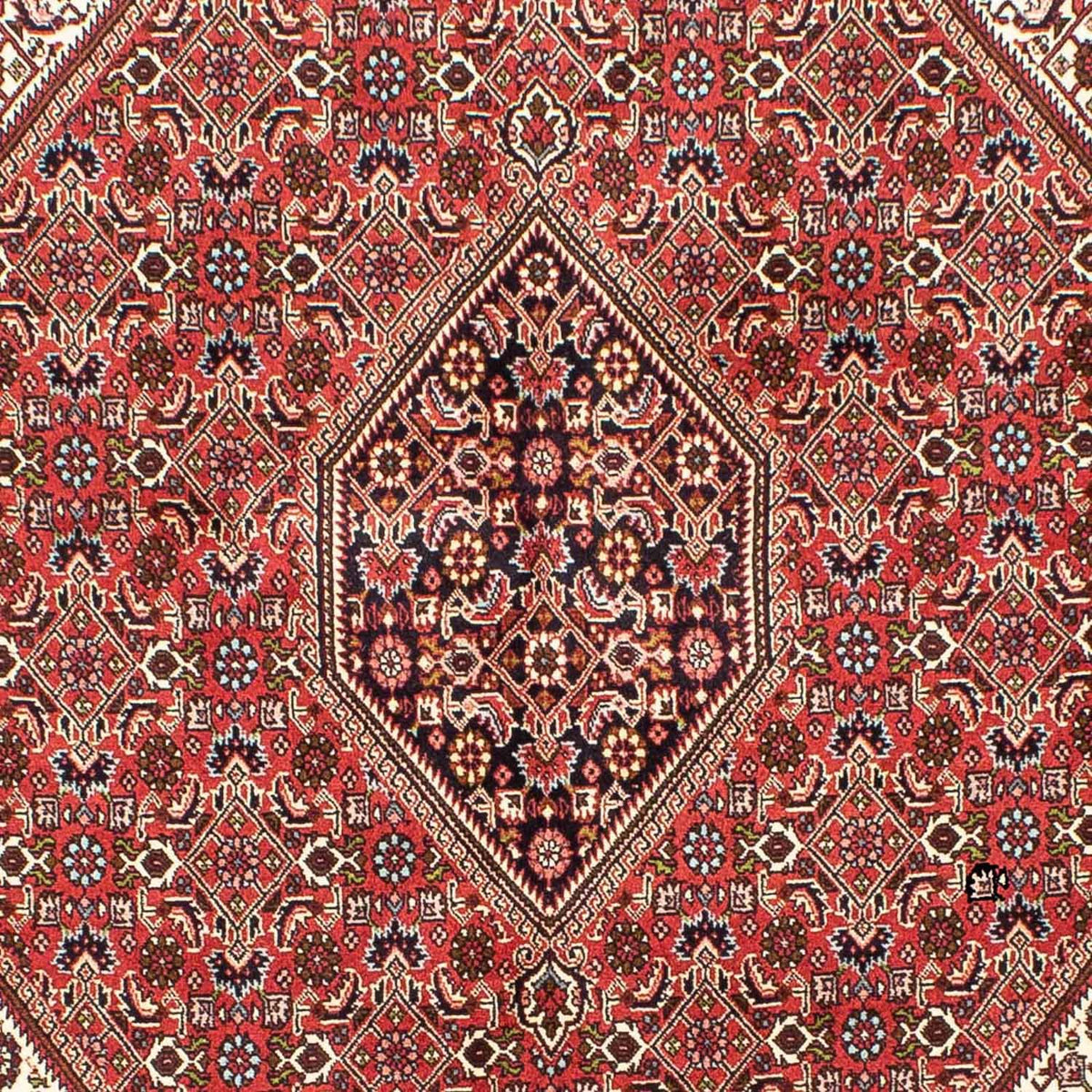 Perzisch tapijt - Bijar - 245 x 172 cm - licht rood