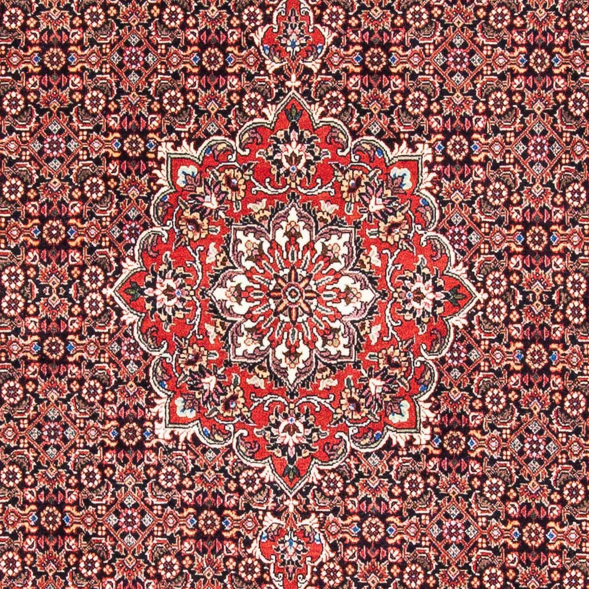 Perzisch tapijt - Bijar - 170 x 109 cm - rood