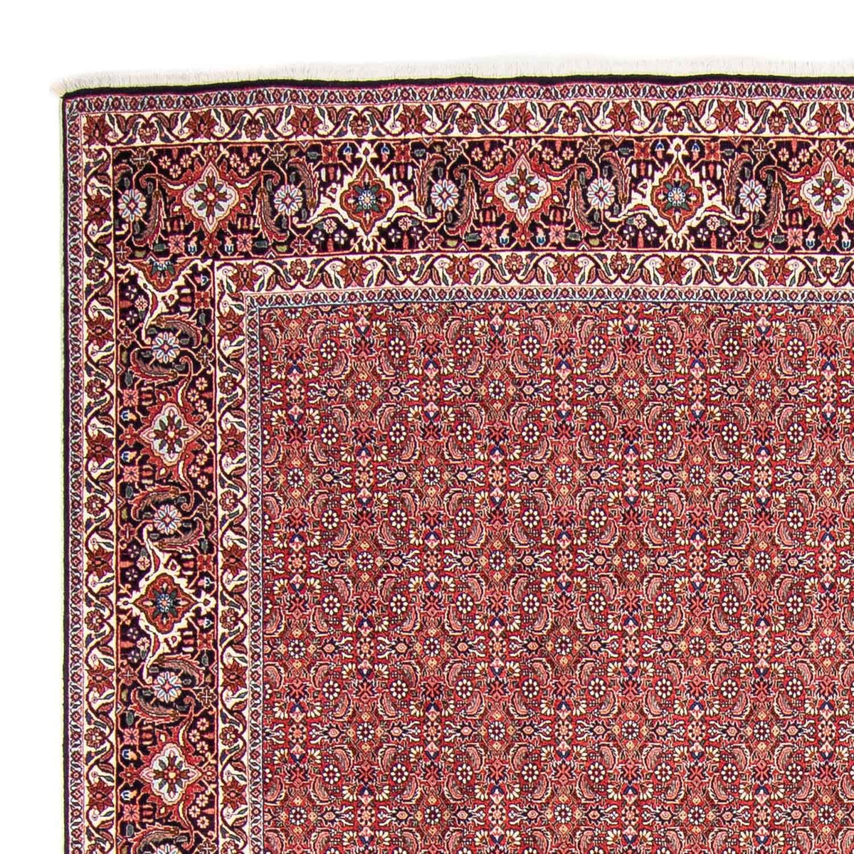 Perzisch tapijt - Bijar - 307 x 248 cm - licht rood
