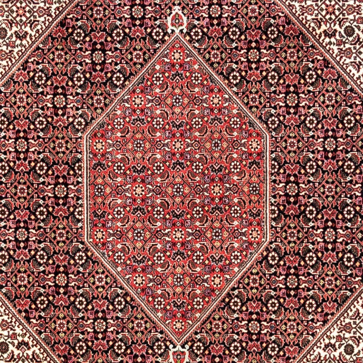 Perzisch tapijt - Bijar - Koninklijk - 349 x 252 cm - rood