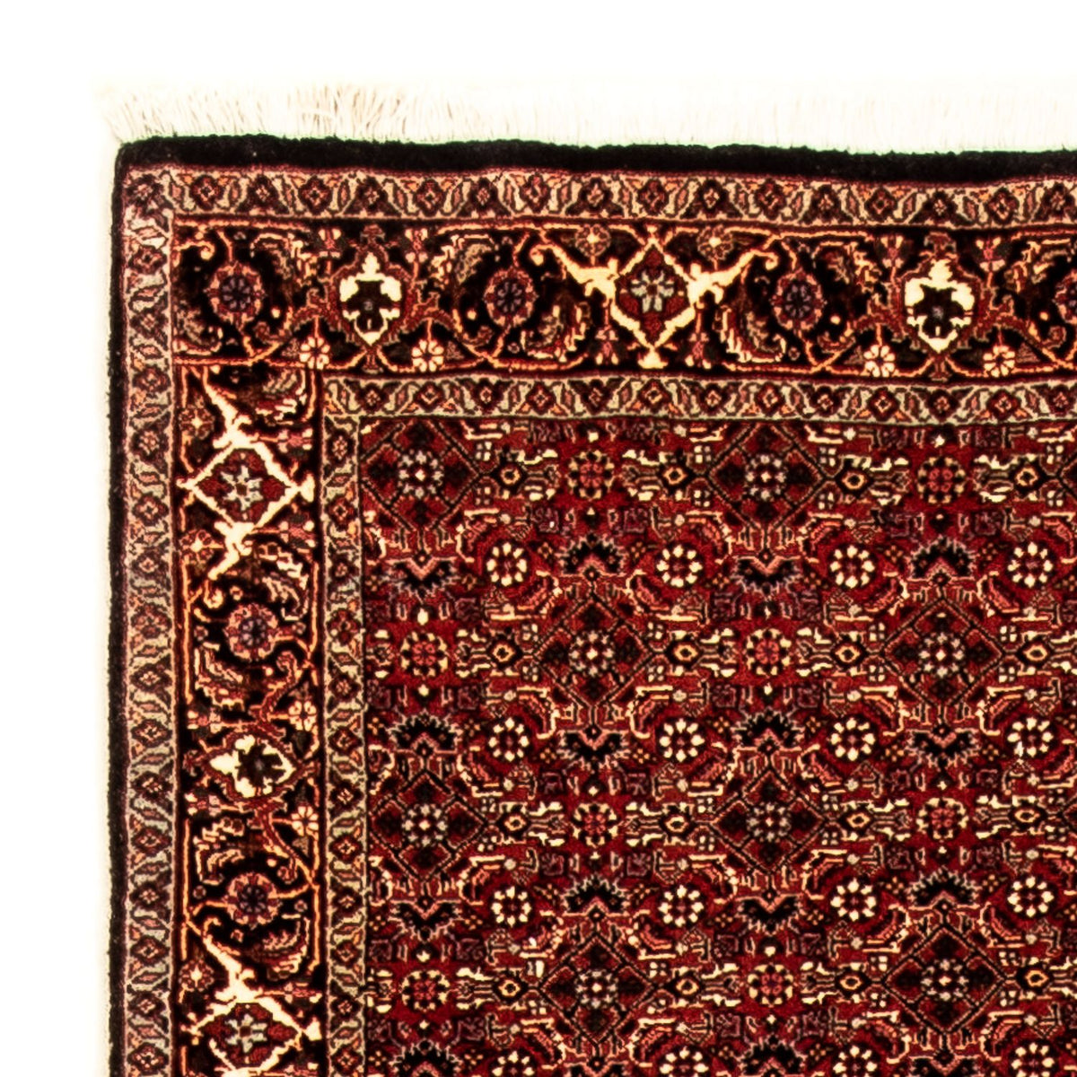 Loper Perzisch tapijt - Bijar - 305 x 86 cm - veelkleurig