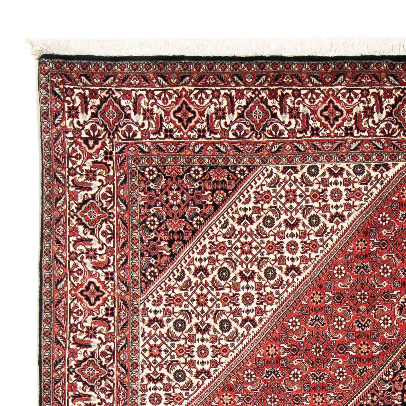 Bidjar Tapijt 251x170cm - Perzisch tapijt
