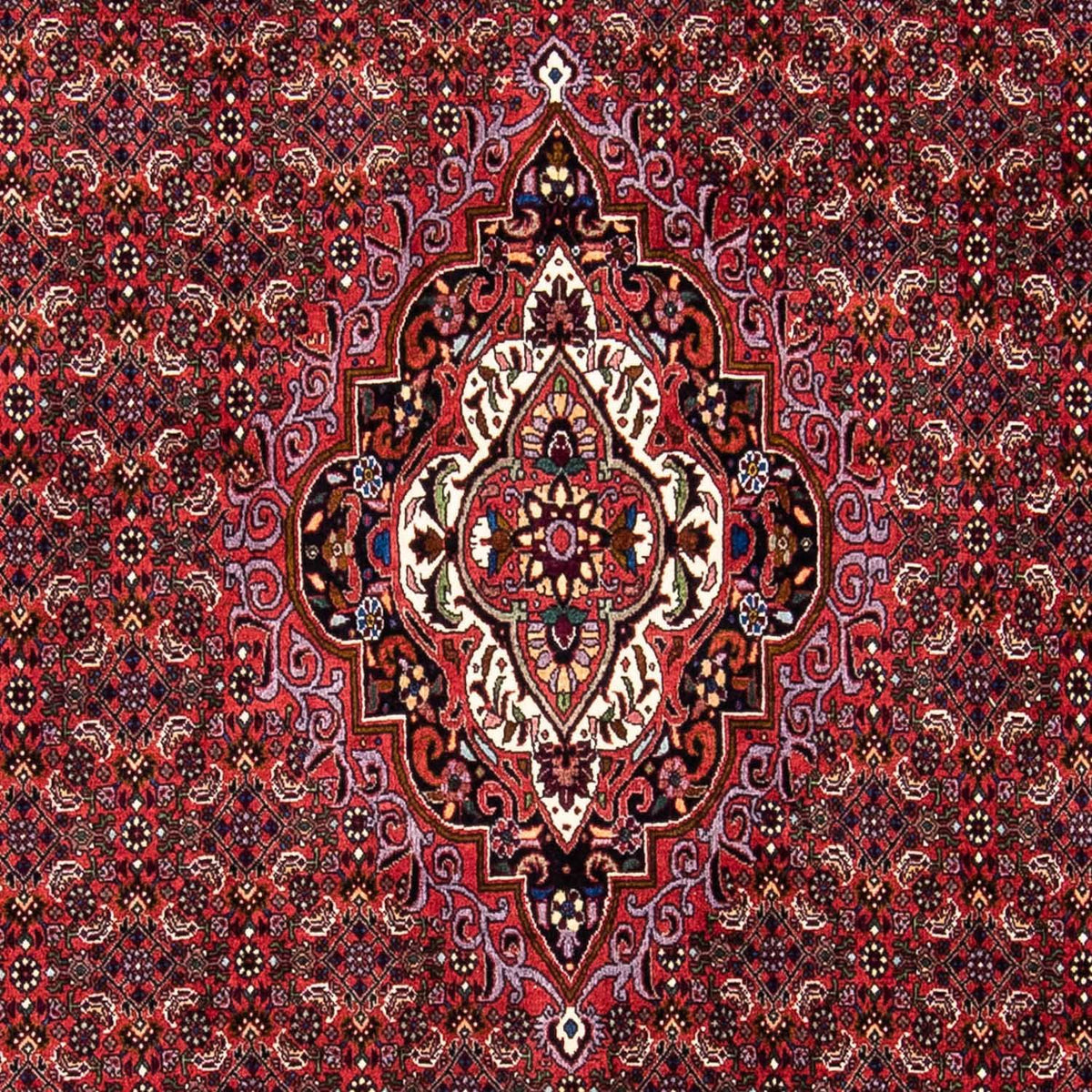 Perzisch tapijt - Bijar - 241 x 172 cm - donkerrood