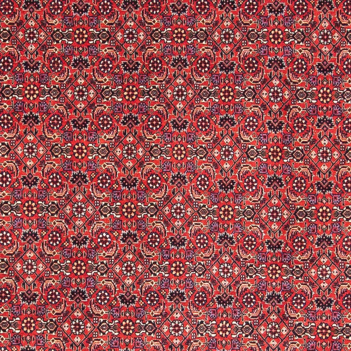 Perzisch tapijt - Bijar vierkant  - 126 x 124 cm - rood