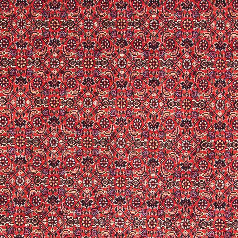 Perzisch tapijt - Bijar vierkant  - 126 x 124 cm - rood