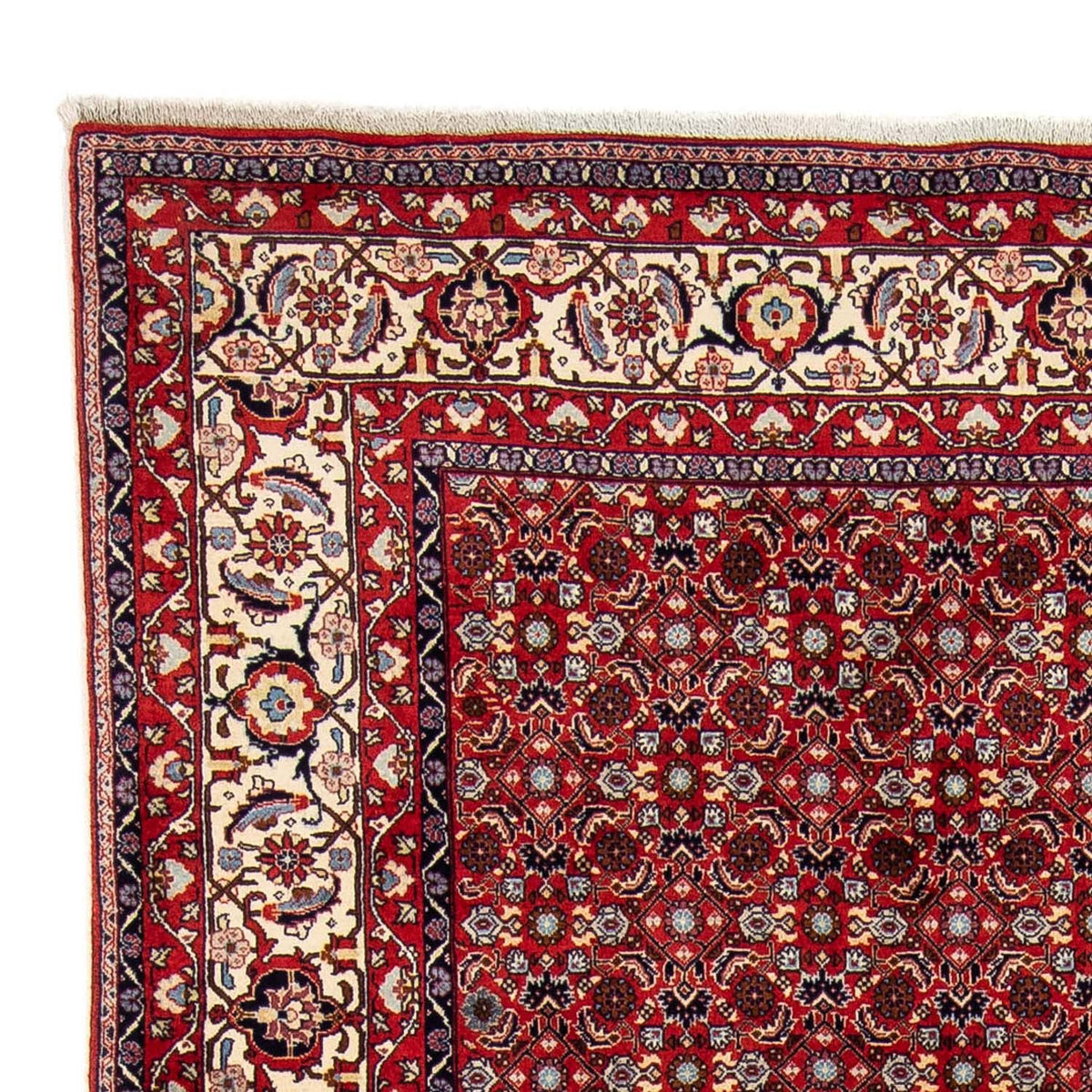 Perzisch tapijt - Bijar - 251 x 175 cm - rood