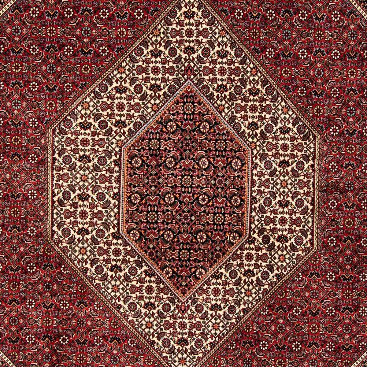 Perzisch tapijt - Bijar - 252 x 205 cm - donkerrood