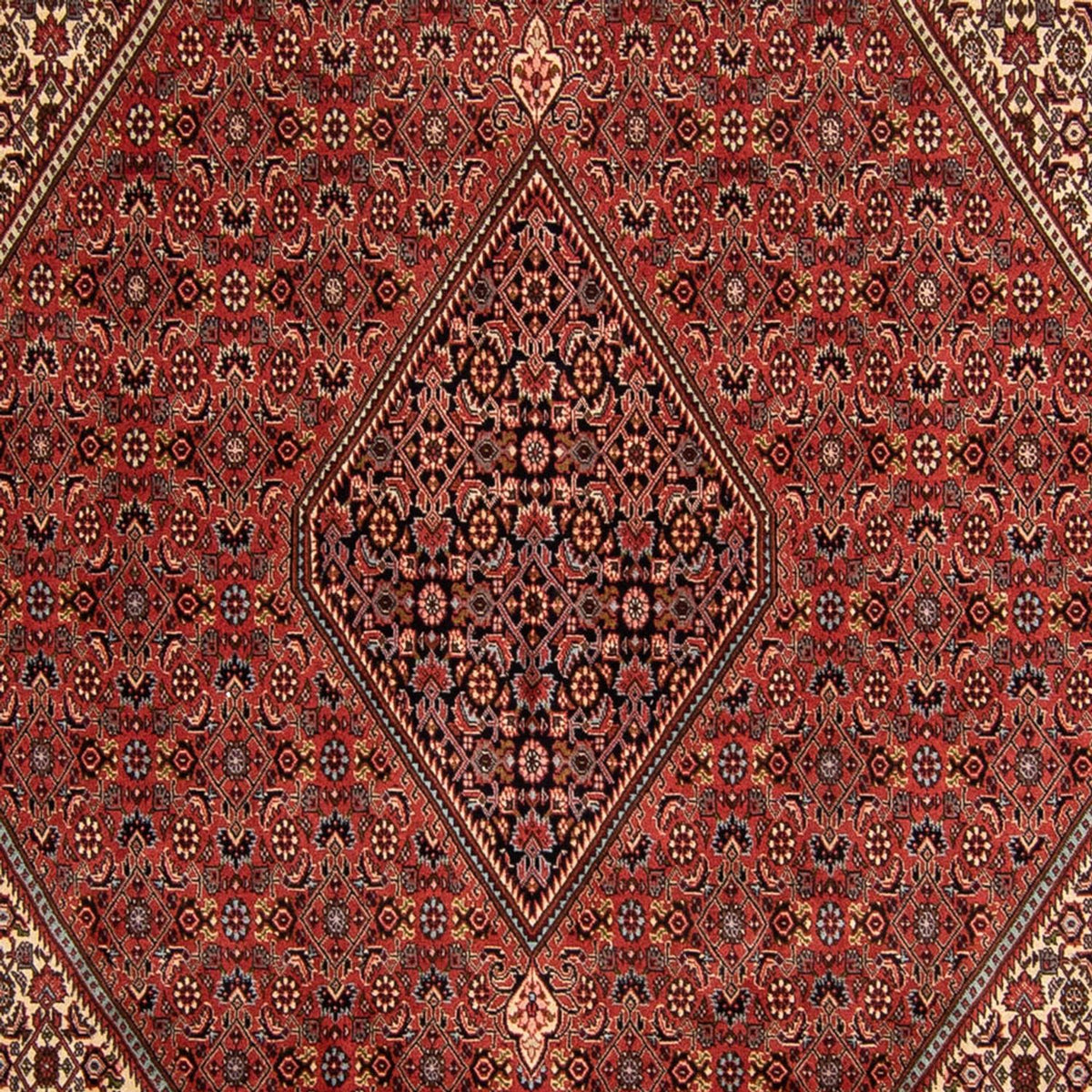 Perzisch tapijt - Bijar - 343 x 250 cm - donkerrood