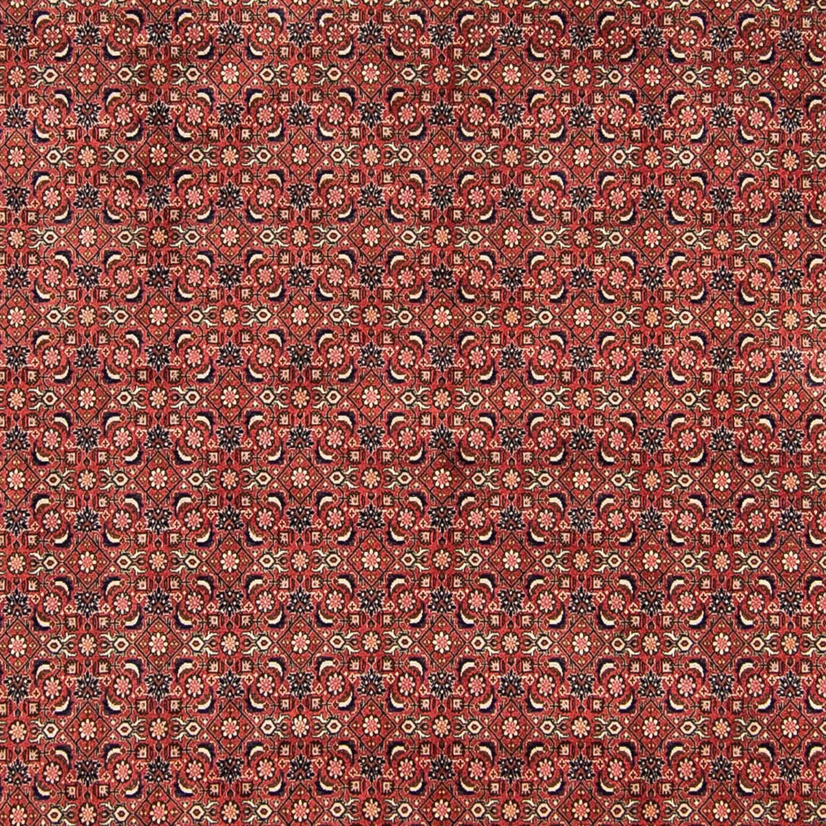 Perzisch tapijt - Bijar - 316 x 252 cm - rood