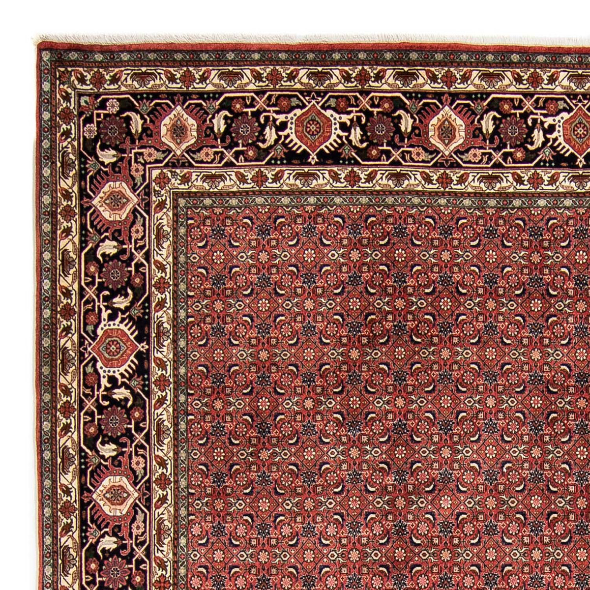 Perzisch tapijt - Bijar - 316 x 252 cm - rood