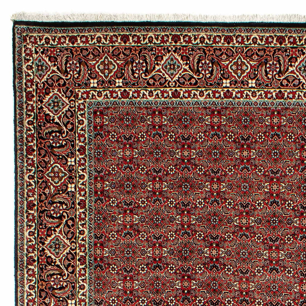 Bidjar Tapijt 206x300cm - Perzisch tapijt