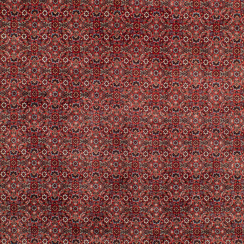 Perzisch tapijt - Bijar - 299 x 202 cm - donkerrood