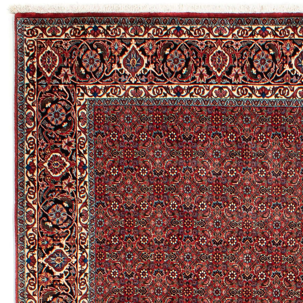 Perzisch tapijt - Bijar - 299 x 202 cm - donkerrood