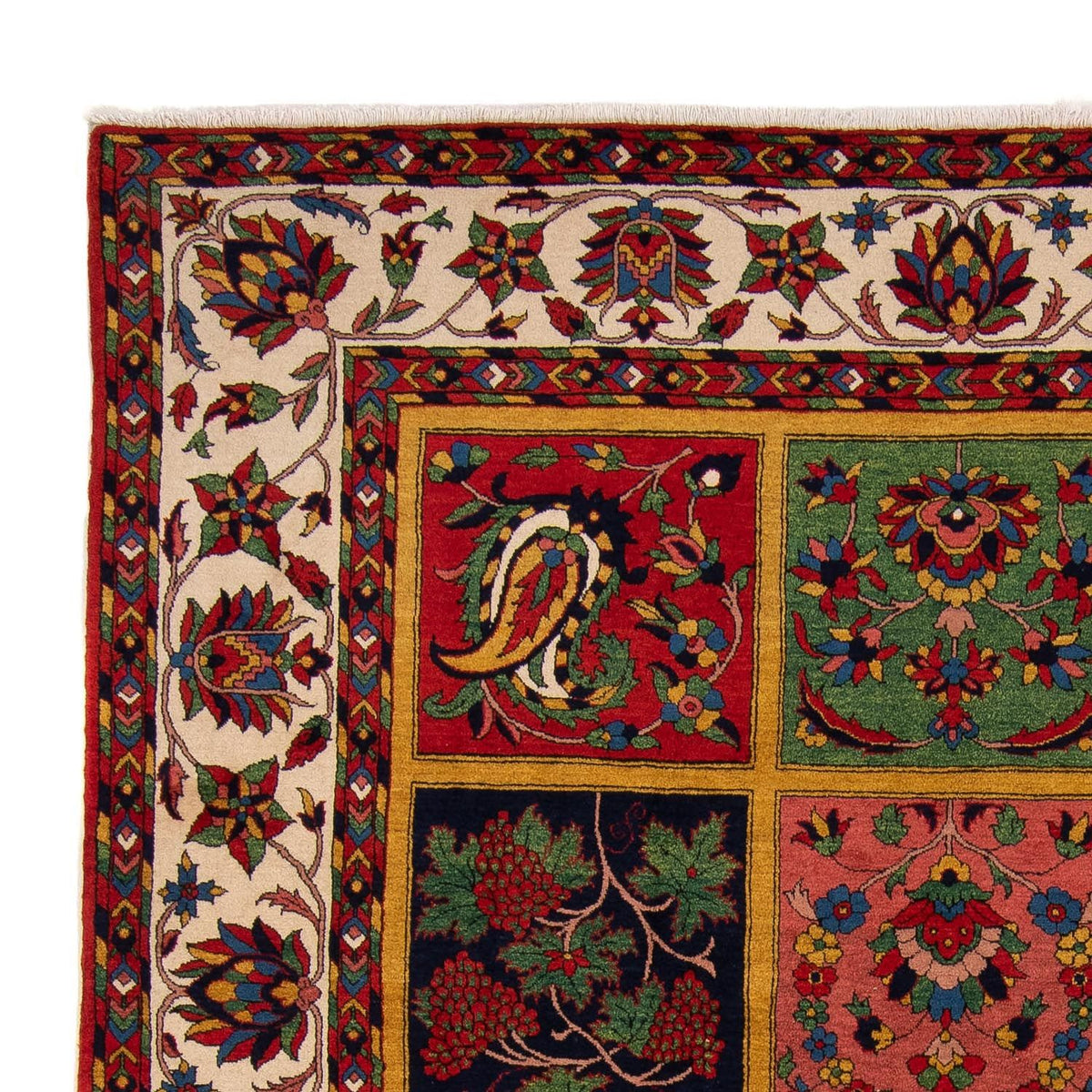 Bakhtiari Tapijt 246x338cm - Perzisch tapijt