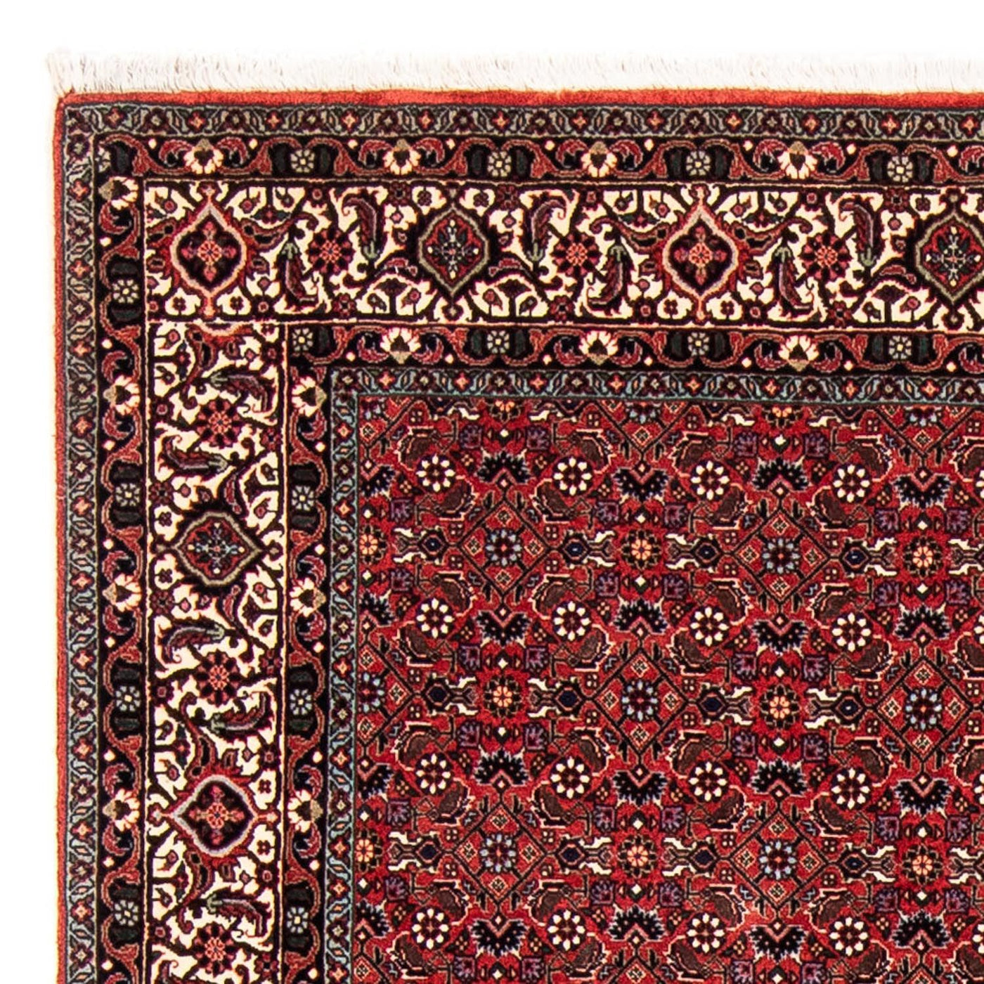 Bidjar Tapijt 243x173cm - Perzisch tapijt