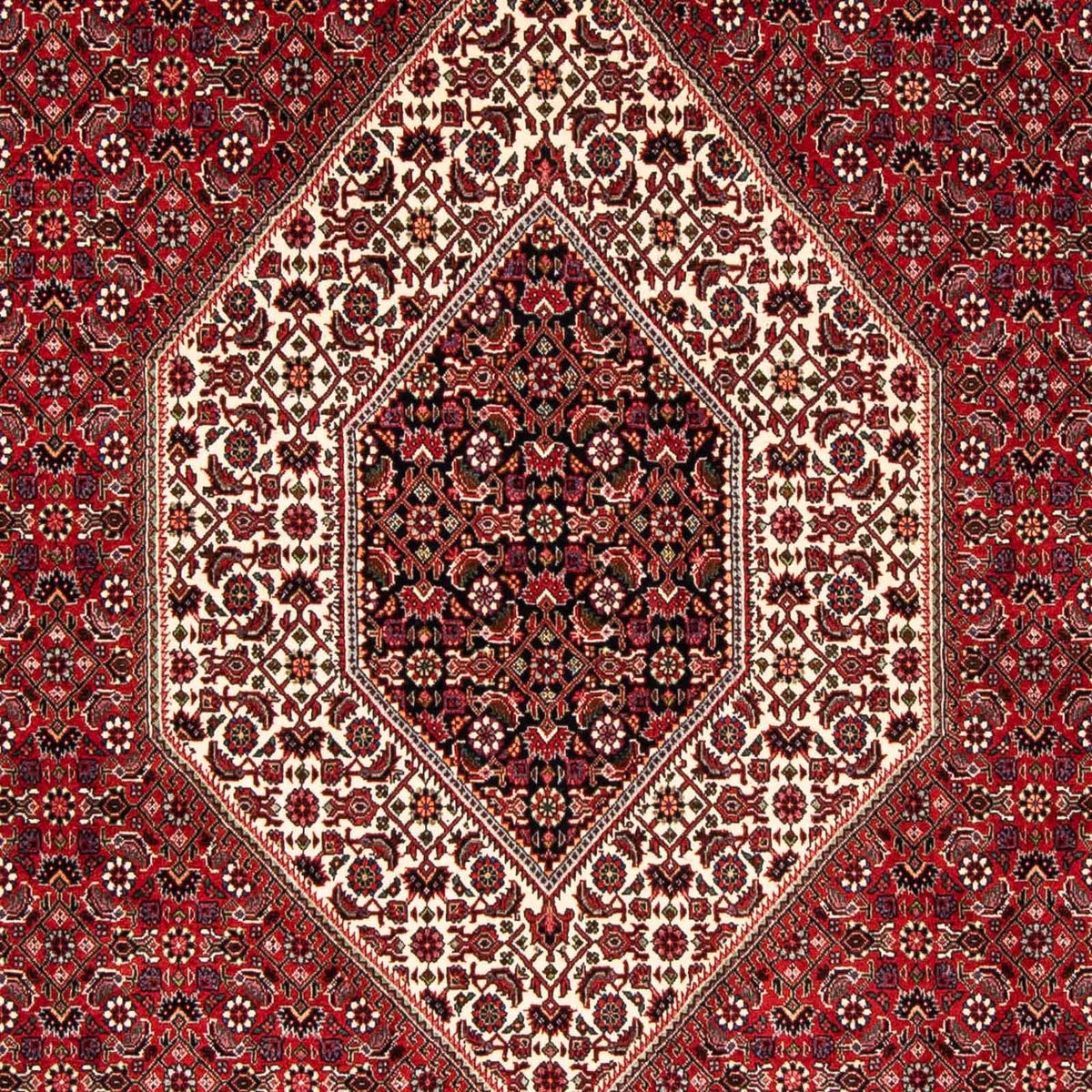 Perzisch tapijt - Bijar - 246 x 170 cm - donkerrood