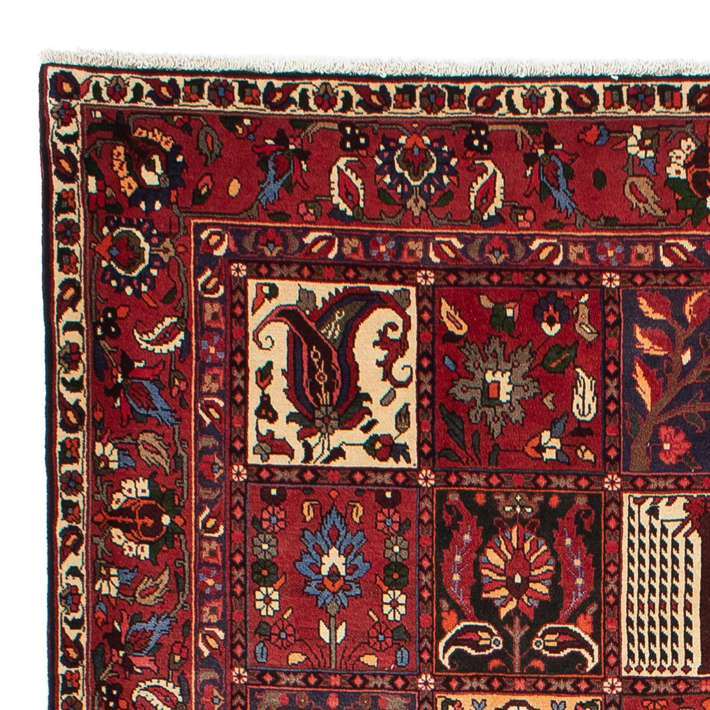 Bakhtiari Tapijt 310x210cm - Perzisch tapijt