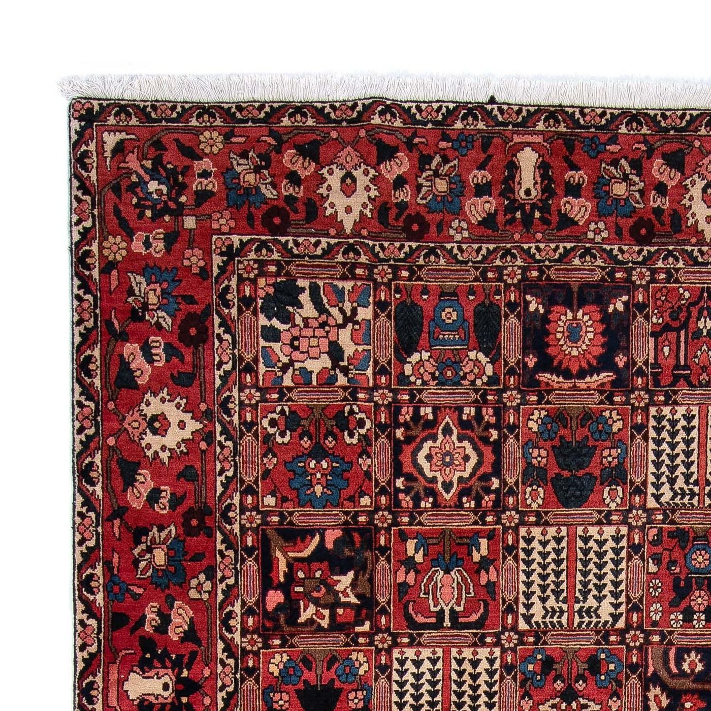 Bachtiar Tapijt 360x257cm - Perzisch tapijt