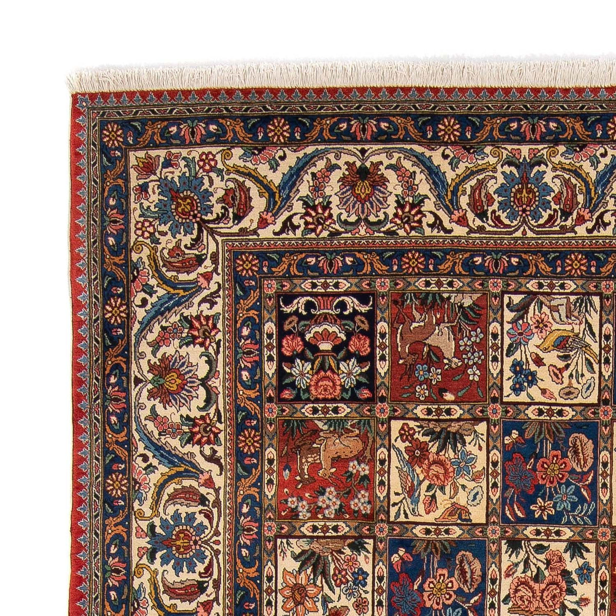 Bakhtiari Tapijt 244x350cm - Perzisch tapijt