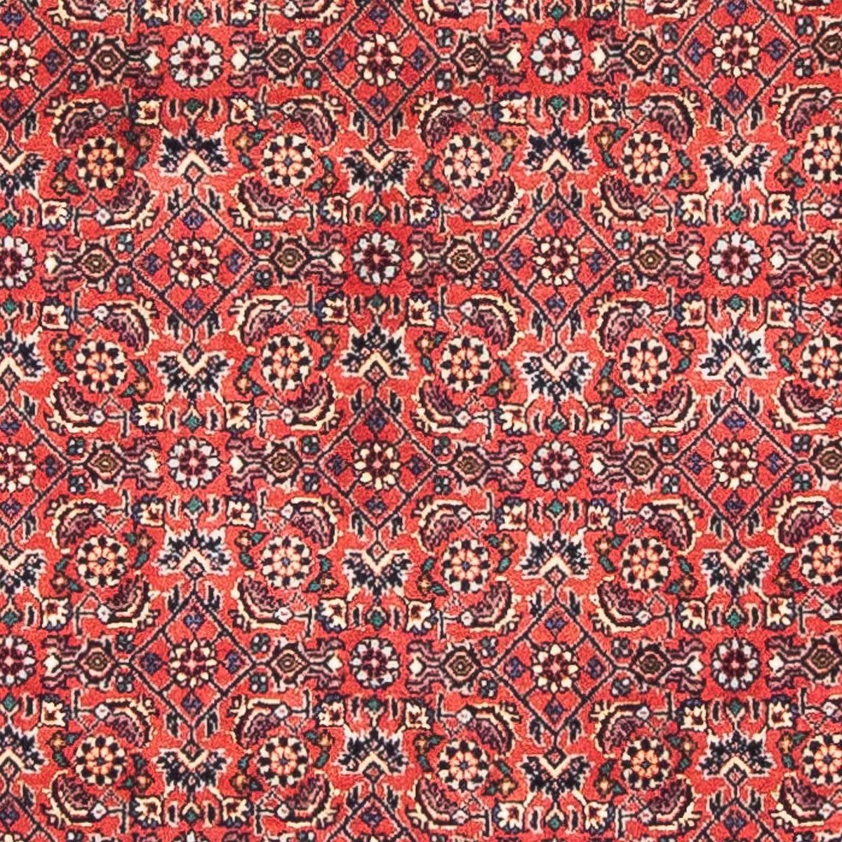 Perzisch tapijt - Bijar - 138 x 84 cm - rood