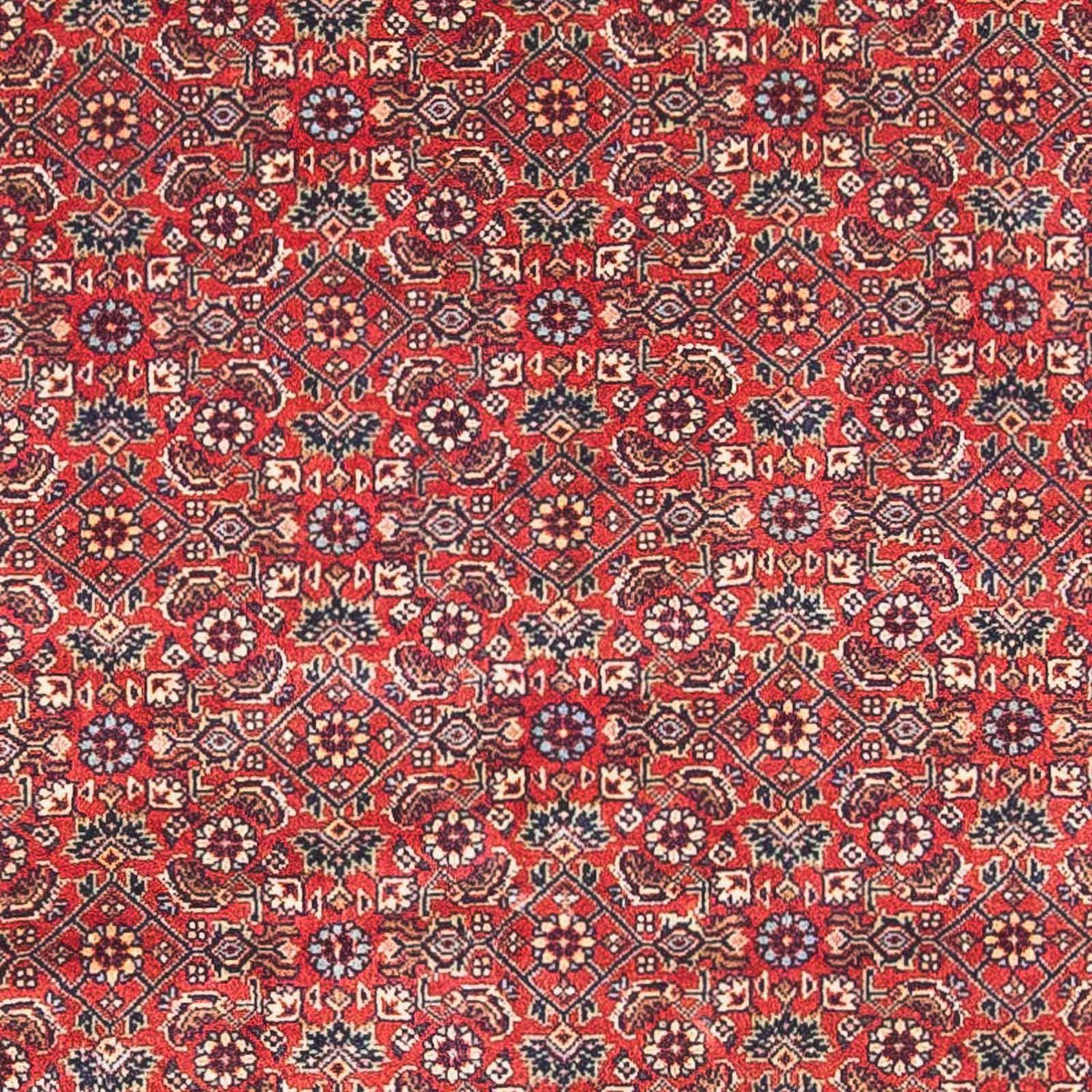 Perzisch tapijt - Bijar - 162 x 89 cm - rood