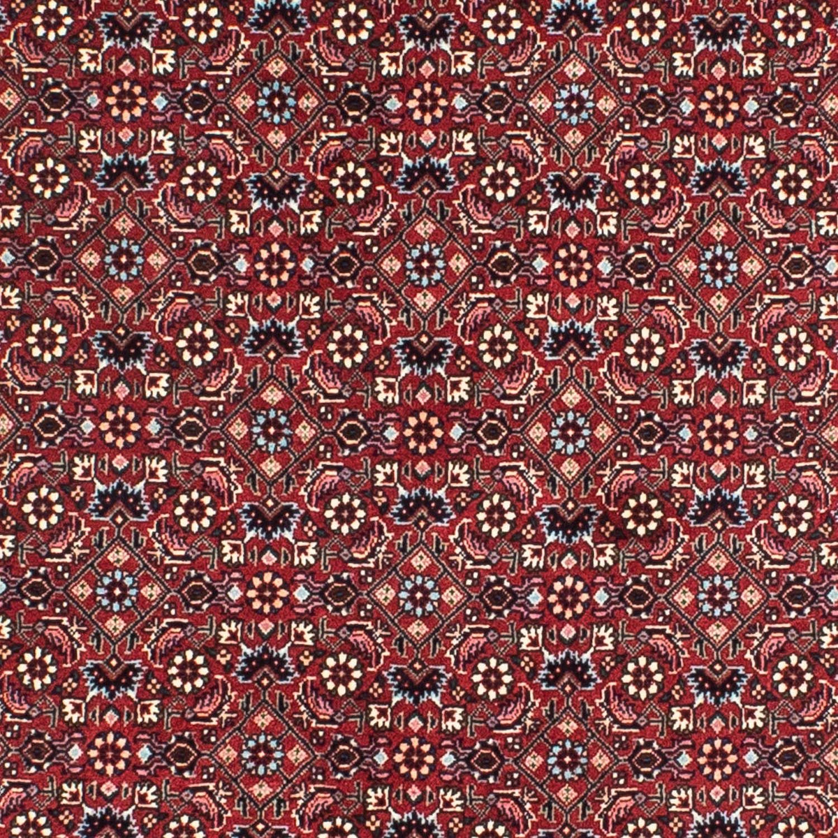Perzisch tapijt - Bijar rond  - 155 x 155 cm - donkerrood
