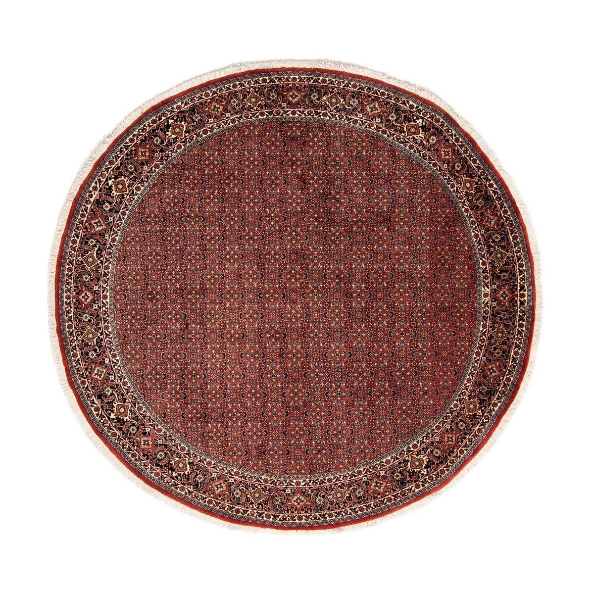 Perzisch tapijt - Bijar rond  - 250 x 250 cm - donkerrood