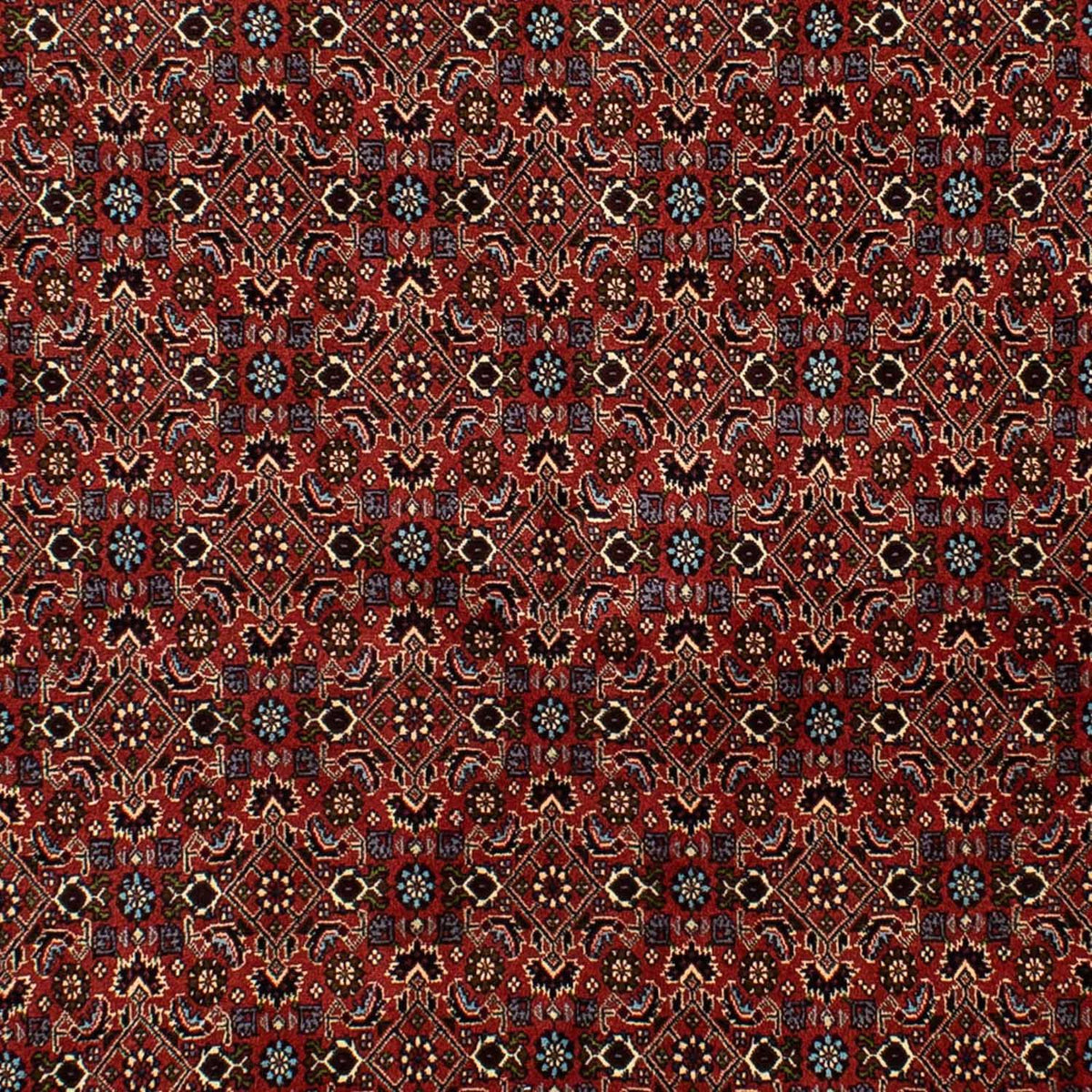 Perzisch tapijt - Bijar - 246 x 172 cm - donkerrood
