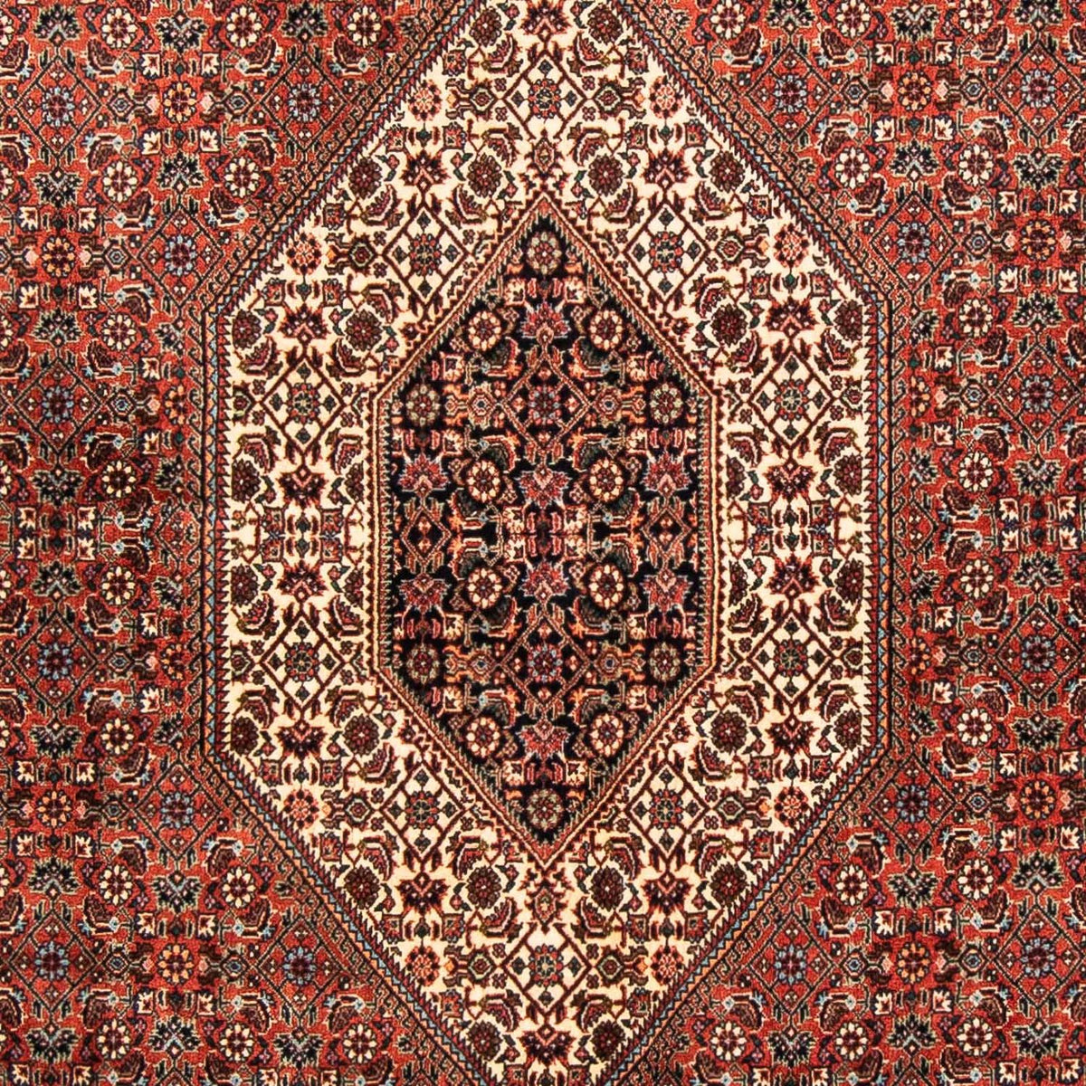 Perzisch tapijt - Bijar - 252 x 150 cm - rood