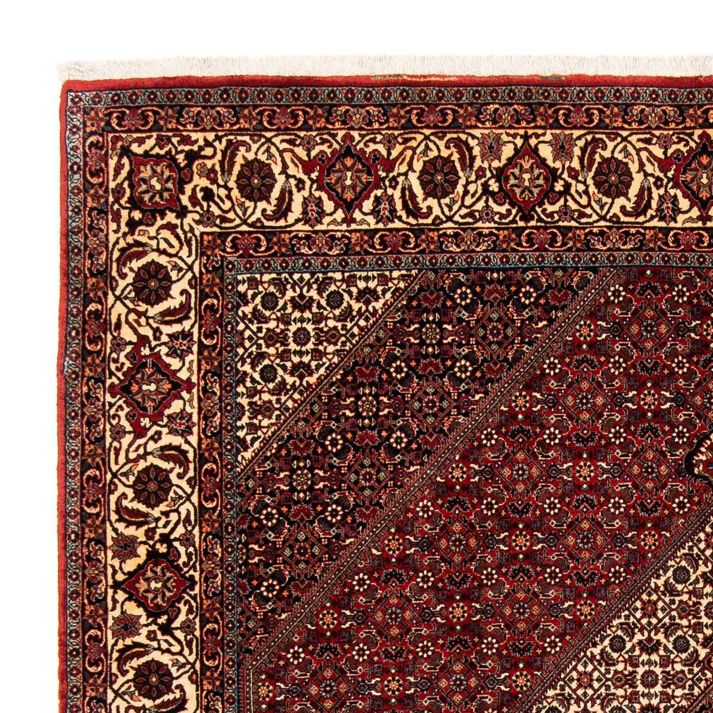 Bidjar Tapijt 254x204cm - Perzisch tapijt