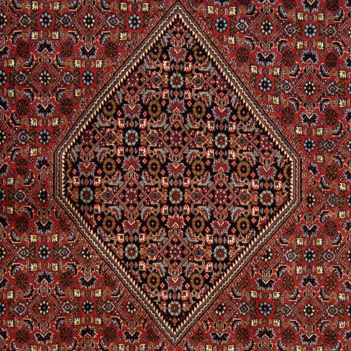 Perzisch tapijt - Bijar - 337 x 250 cm - donkerrood