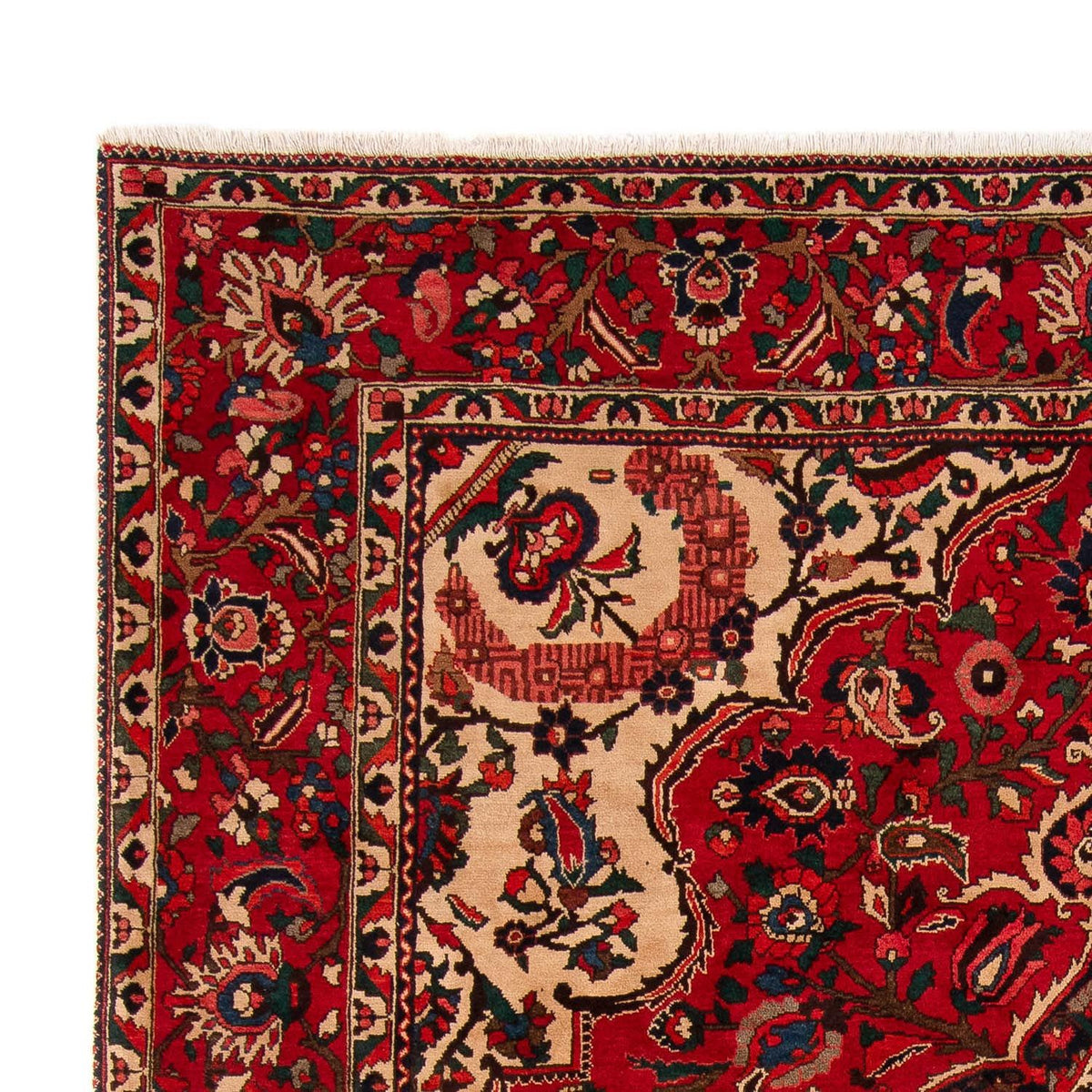 Bakhtiari Tapijt 258x362cm - Perzisch tapijt