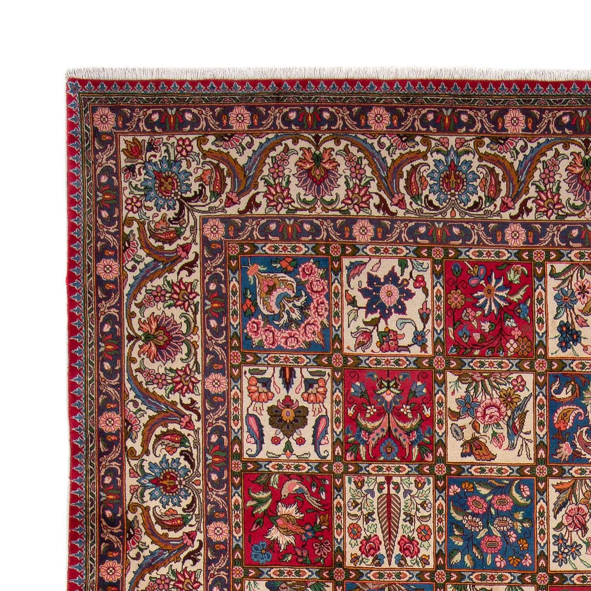 Bakhtiari Tapijt 253x363cm - Perzisch tapijt