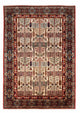 Bakhtiari Tapijt 244x348cm - Perzisch tapijt