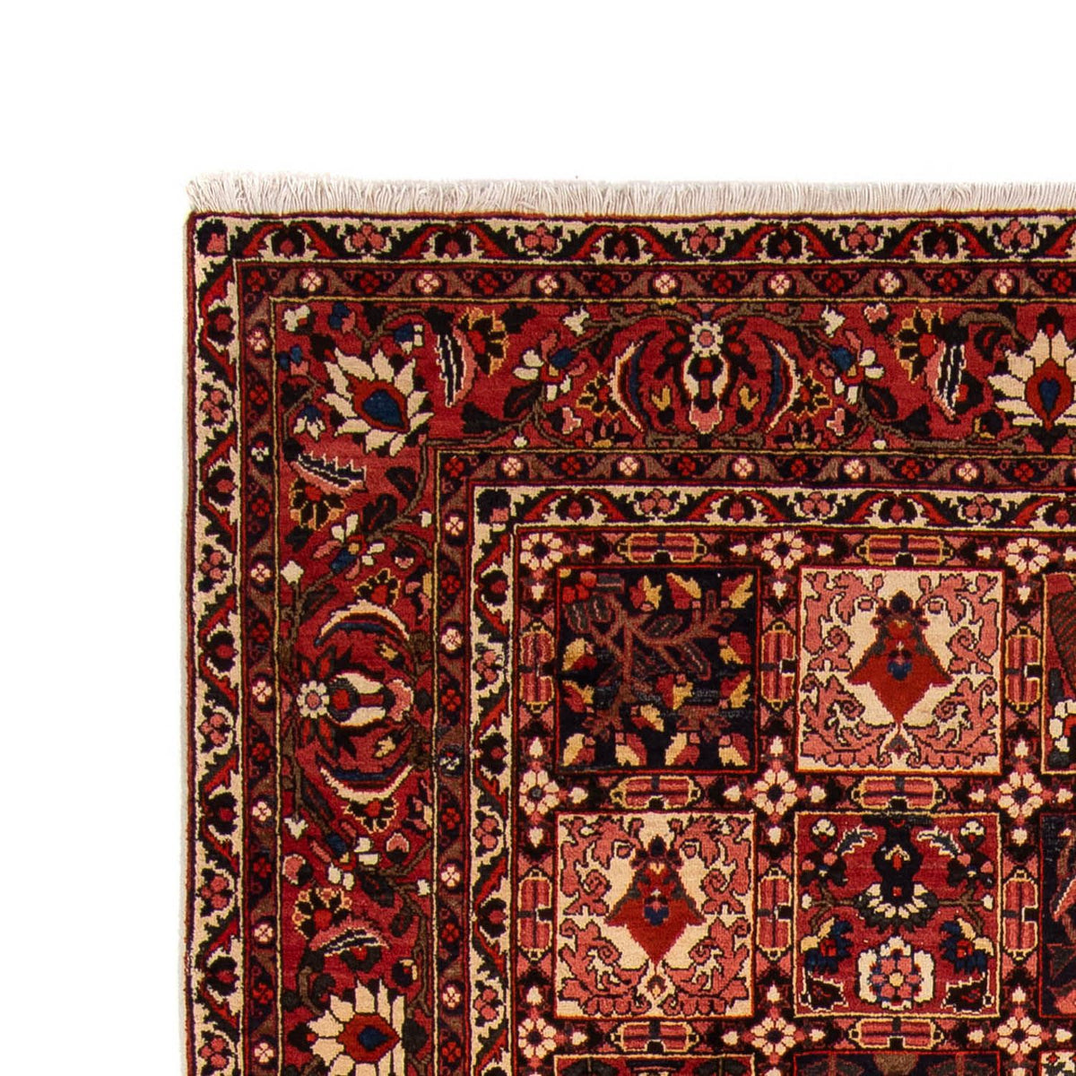 Bakhtiari Tapijt 265x365cm - Perzisch tapijt