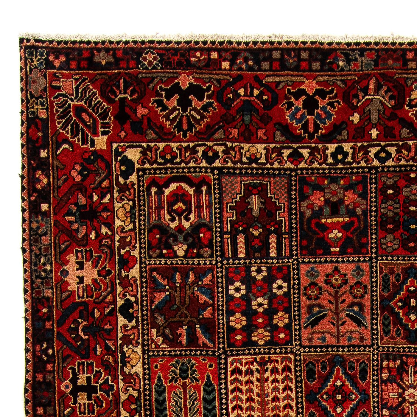 Bakhtiari Tapijt 351x302cm - Perzisch tapijt